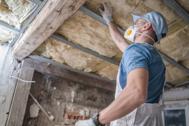 Best Insulation Installation Services in Web, AL
