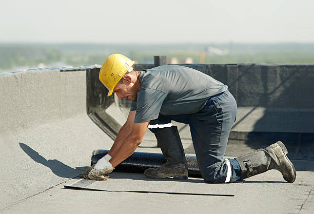 Best Specialty Insulation in Web, AL