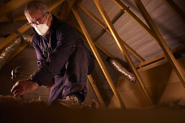 Best Residential Insulation in Web, AL